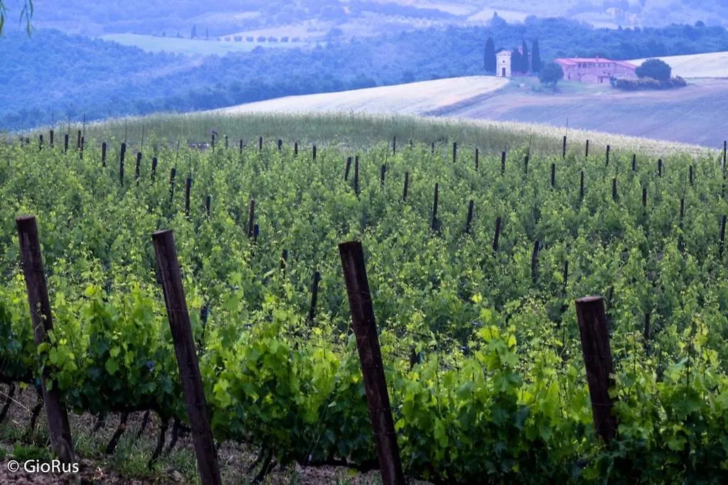 Séjour à la ferme Agriturismo La Buca Di Bellugi San Quirico dʼOrcia Italie