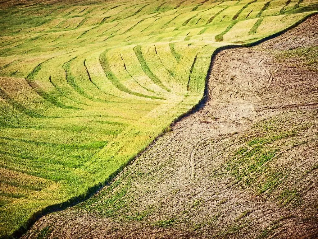 Agriturismo La Buca Di Bellugi San Quirico dʼOrcia