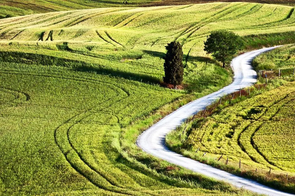 Séjour à la ferme Agriturismo La Buca Di Bellugi San Quirico dʼOrcia