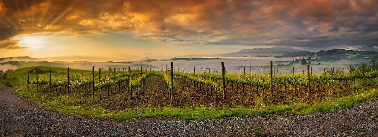 Agriturismo La Buca Di Bellugi San Quirico dʼOrcia Italie