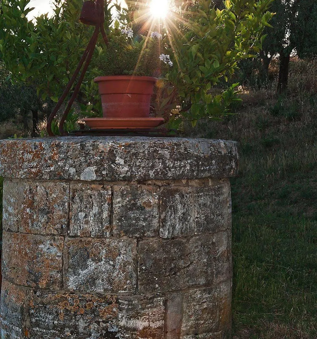 Agriturismo La Buca Di Bellugi San Quirico dʼOrcia 0*,