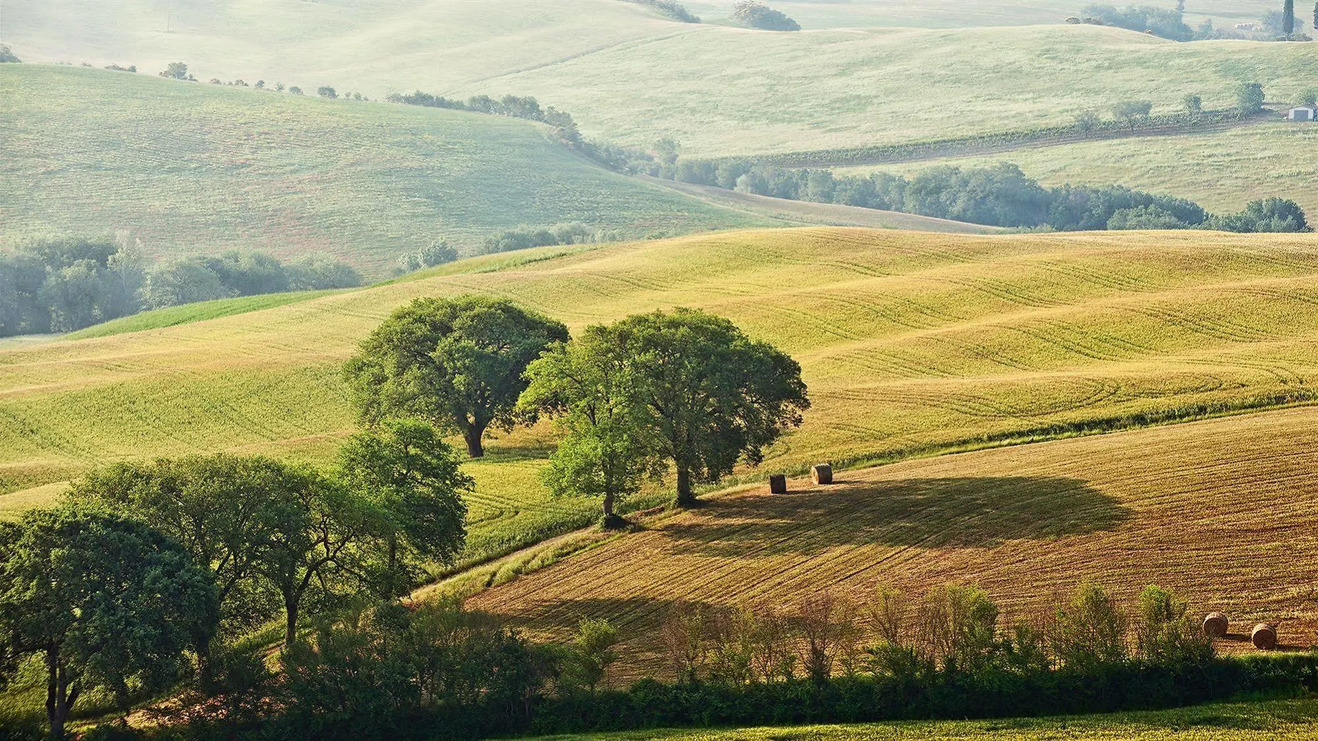 Agriturismo La Buca Di Bellugi San Quirico d'Orcia Italy